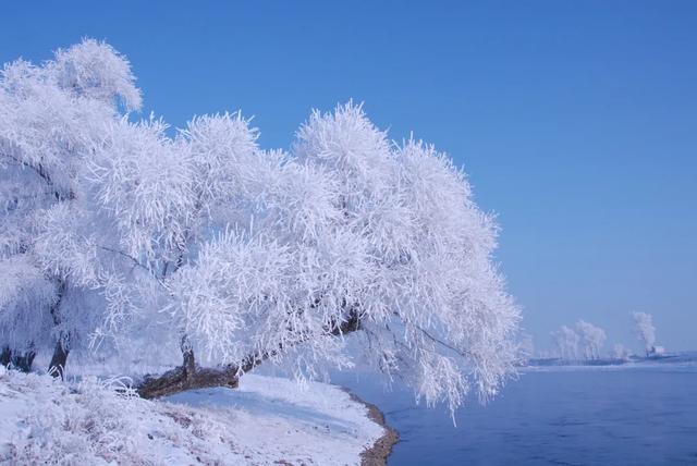 48条旅游线路带您开启“吉致”玩雪体验！