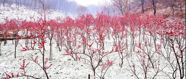 48条旅游线路带您开启“吉致”玩雪体验！