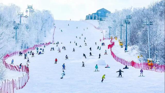 48条旅游线路带您开启“吉致”玩雪体验！