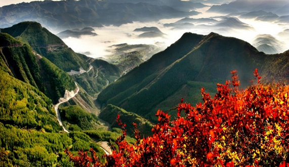六盘山国家森林公园