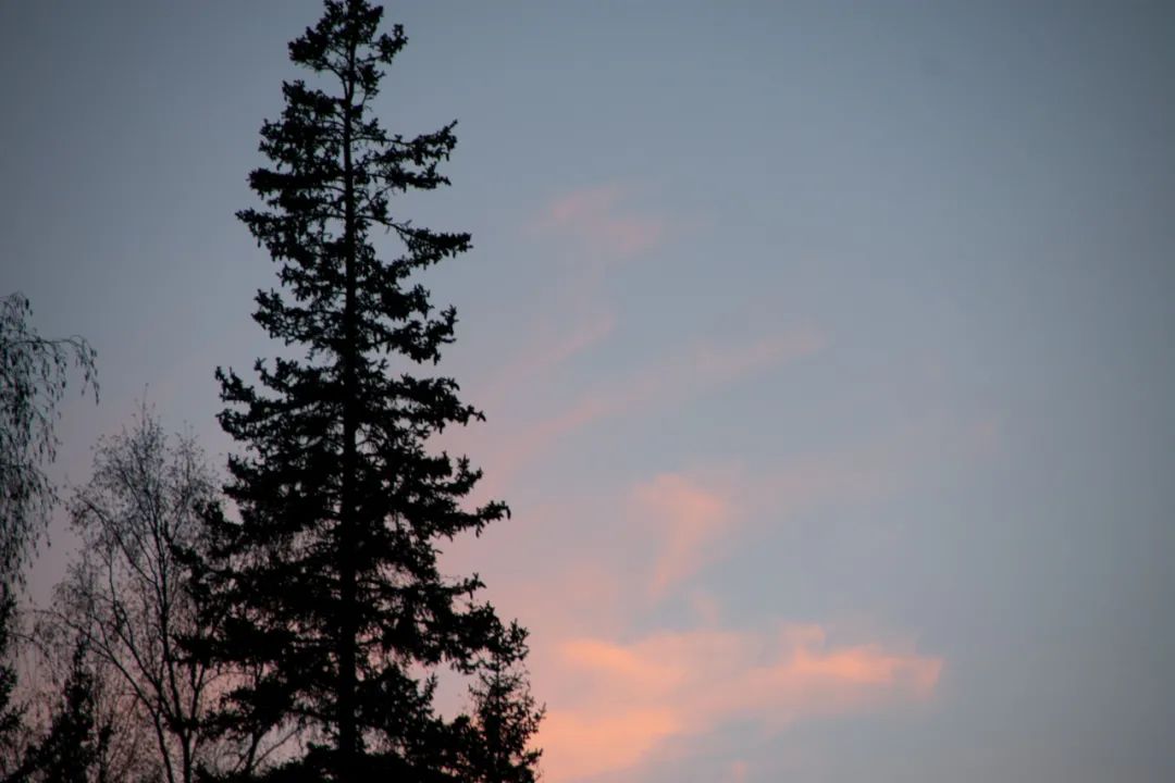 40bf29e3fe8b5c0d4b1b4ef9a87d3b9e_640_wx_fmt=jpeg&wxfrom=5&wx_lazy=1&wx_co=1.jpg