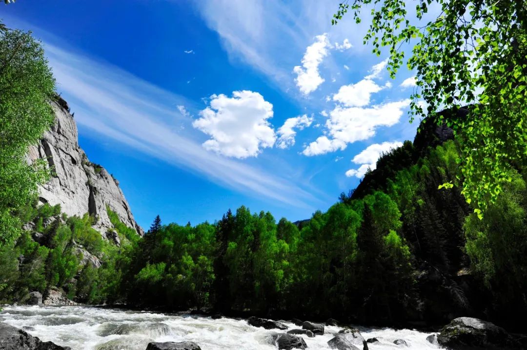 356191cc3413fb06d66d53049106905a_640_wx_fmt=jpeg&wxfrom=5&wx_lazy=1&wx_co=1.jpg