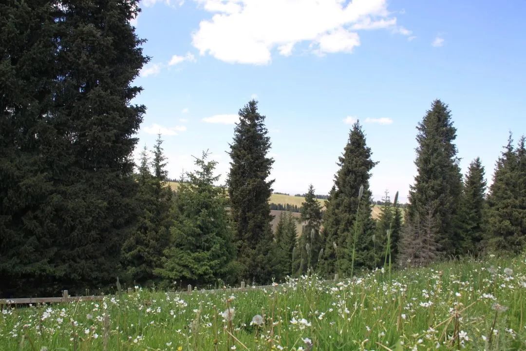 a6293847cc243509a334486a4dd8c6e0_640_wx_fmt=jpeg&wxfrom=5&wx_lazy=1&wx_co=1.jpg