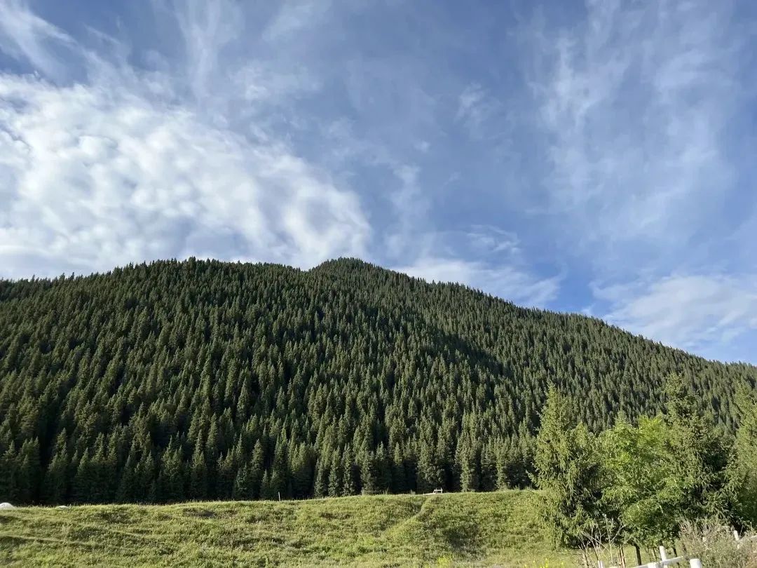 0f60715b5040fa2018fd5db24a3c0f5c_640_wx_fmt=jpeg&wxfrom=5&wx_lazy=1&wx_co=1.jpg