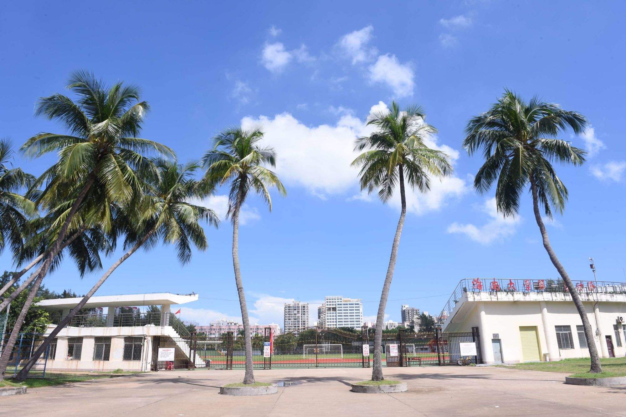 海南大学旅游学院(海南大学旅游学院李琼)