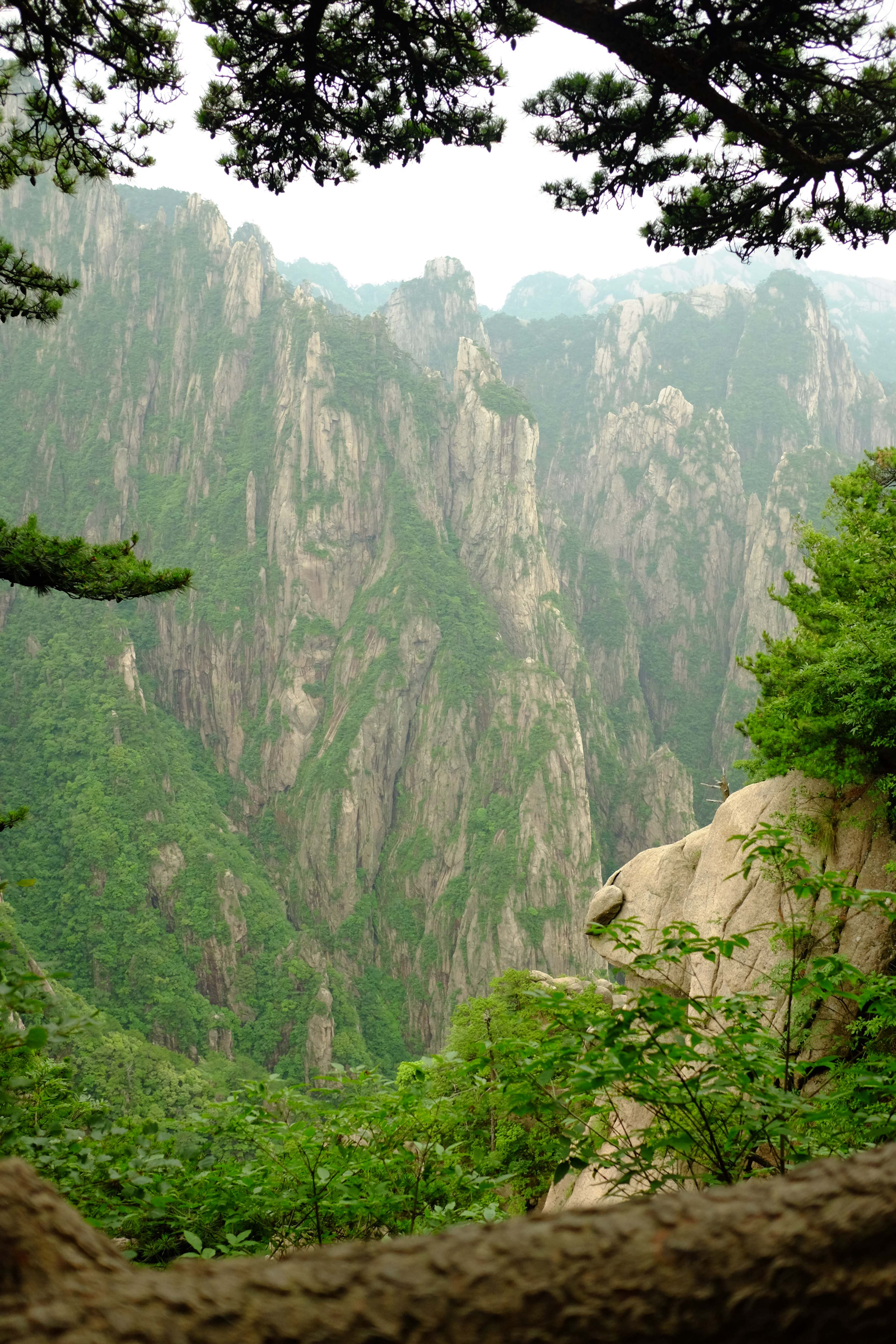 黄山旅游集团(黄山旅游集团江存文)