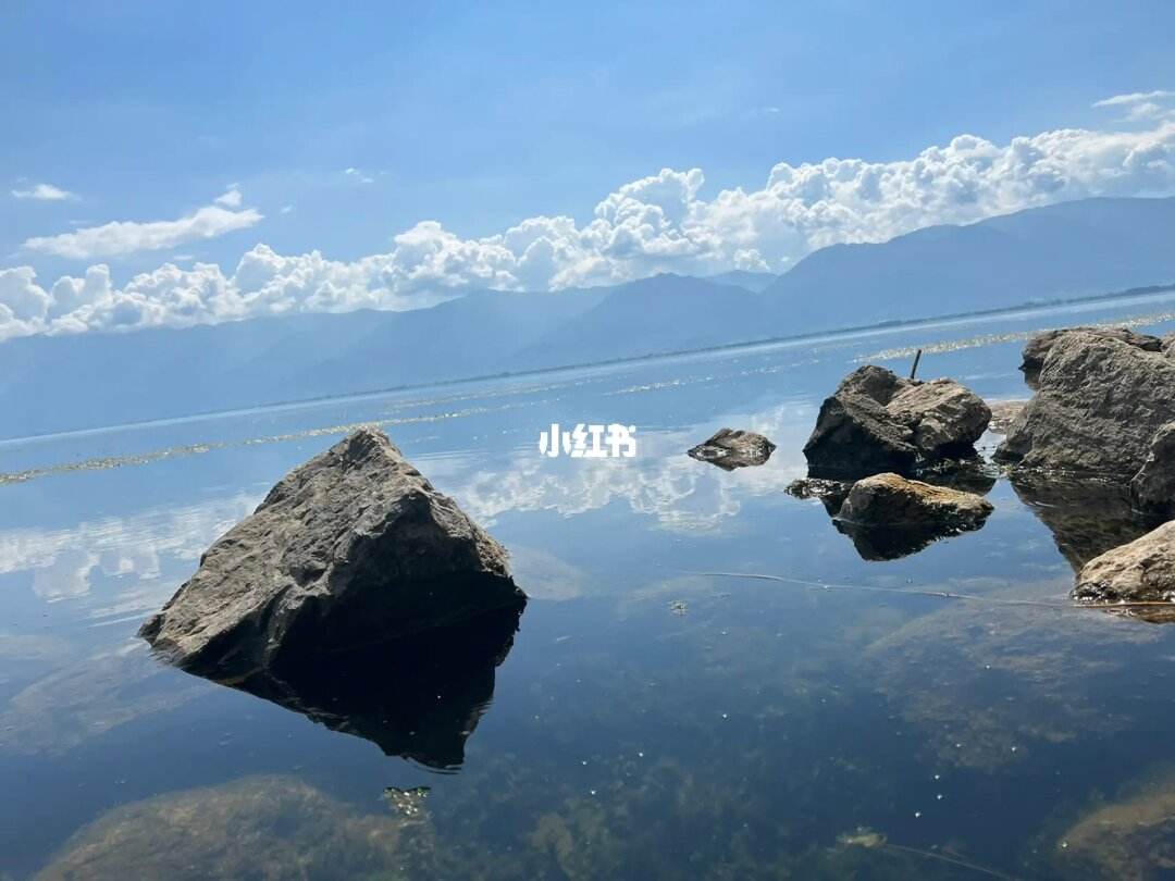 云南旅游结伴(云南结伴自由行)