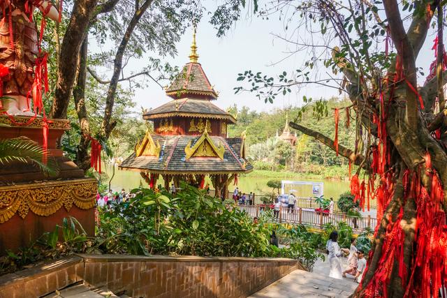 西双版纳旅游攻略及费用(2021西双版纳旅游攻略)