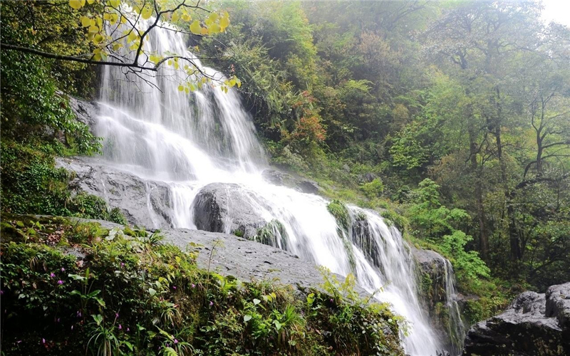 景点旅游(深圳有什么景点旅游)