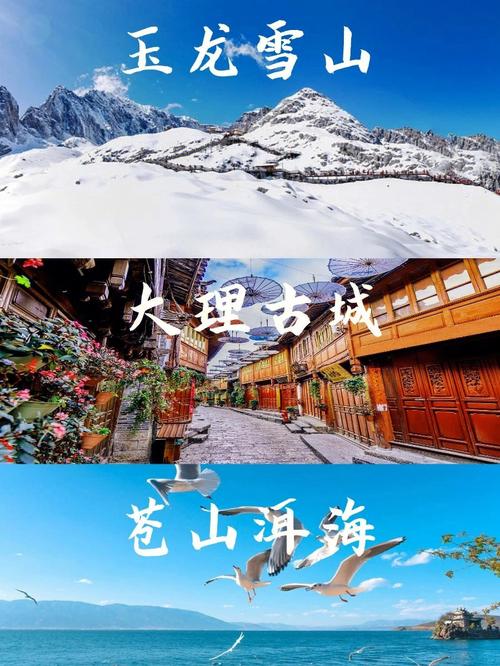云南旅游报团(云南旅游报团为什么价格便宜)