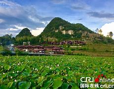 大方旅游(大方旅游景点有哪些地方)