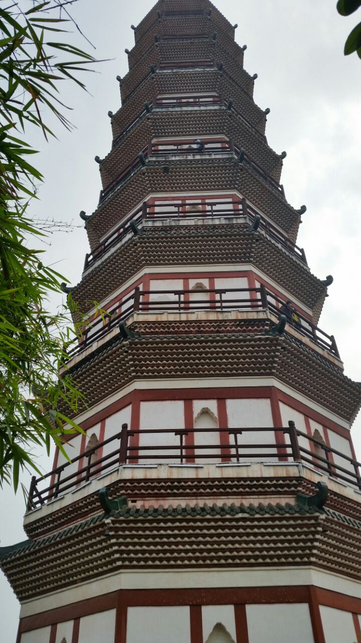 德庆旅游攻略(德庆旅游攻略自驾游)