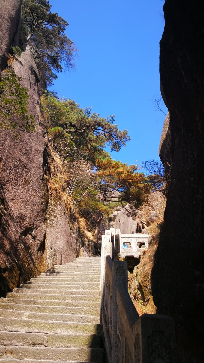 黄山旅游攻略(黄山旅游攻略自由行攻略)