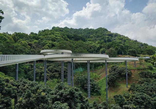 国庆深圳旅游攻略(国庆节深圳旅游攻略)