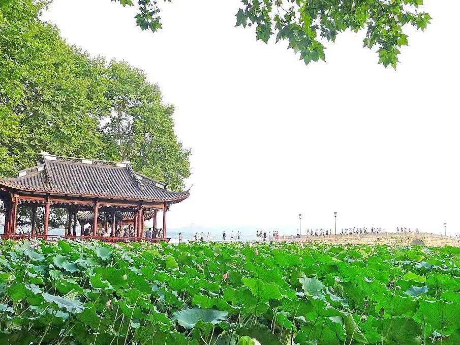 国庆杭州旅游攻略(国庆杭州旅游适合去哪里?)