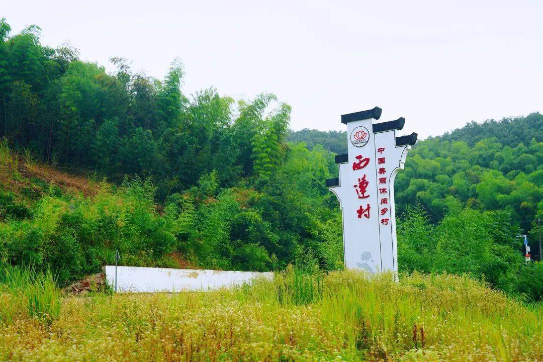 金寨旅游攻略(金寨旅游攻略自驾游)