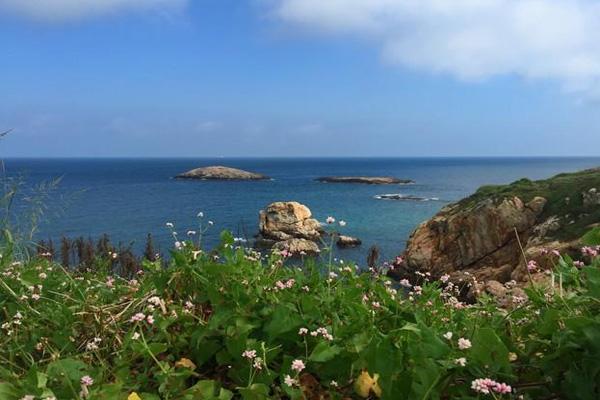 宁波渔山列岛旅游攻略(宁波渔山列岛旅游攻略路线)