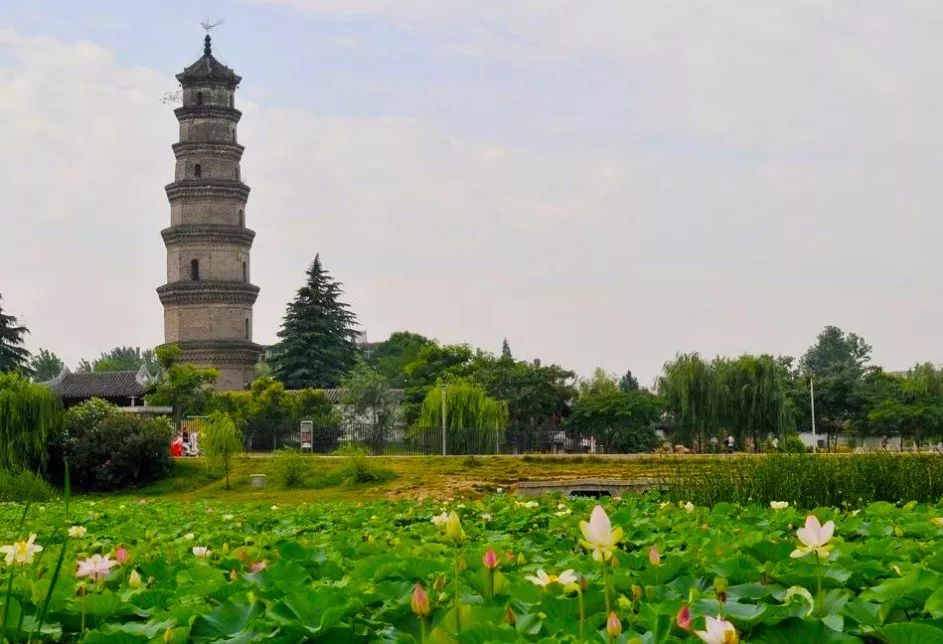 阜阳旅游攻略景点必去(阜阳旅游攻略景点必去的地方)