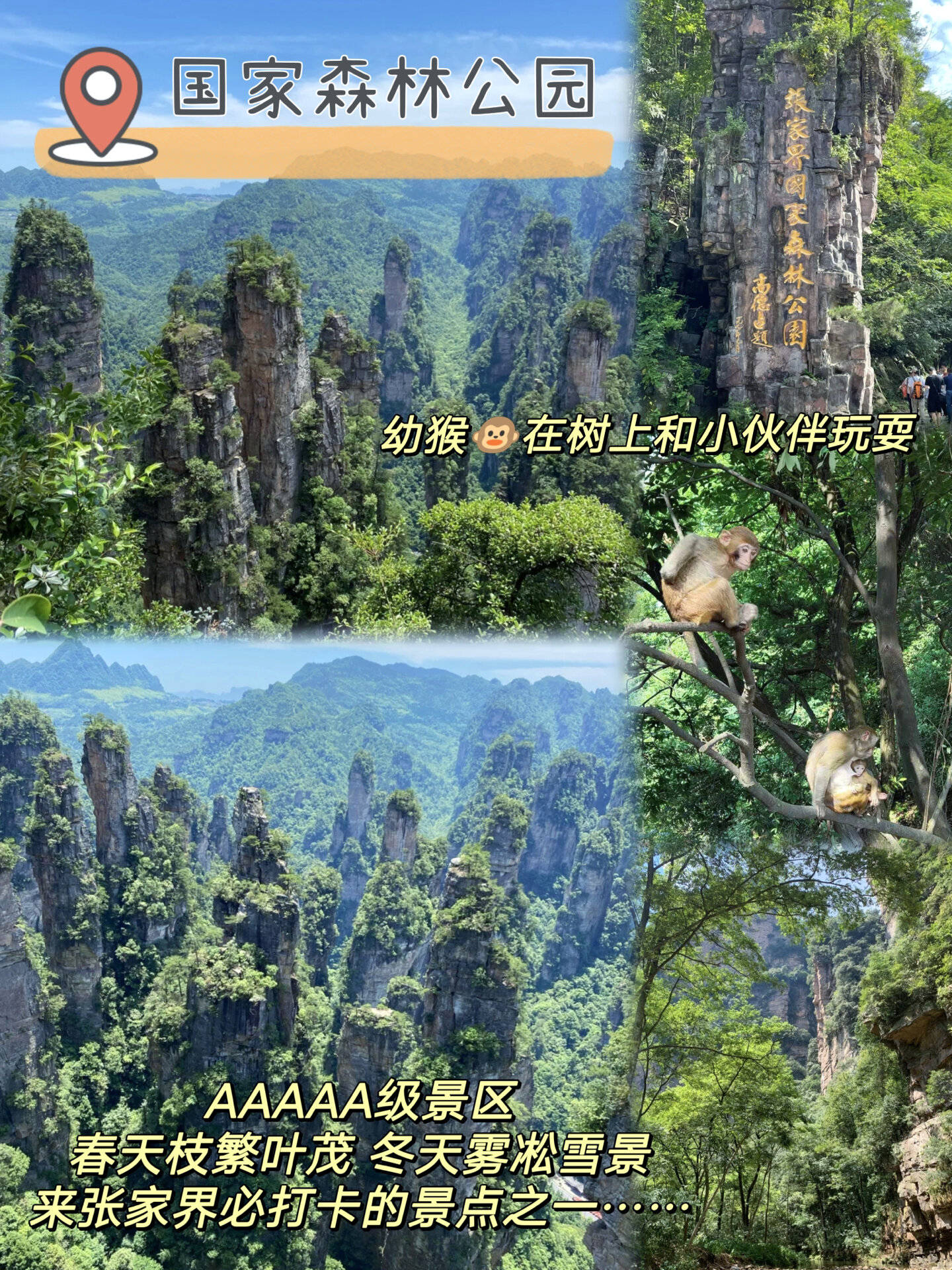 旅游三天攻略(旅游三天攻略贵州自助游)