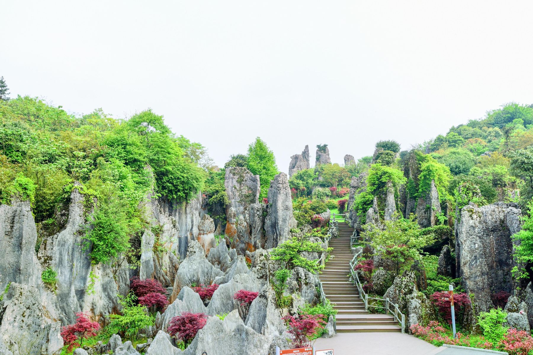 广安华蓥山旅游攻略(广安华蓥山好耍不)