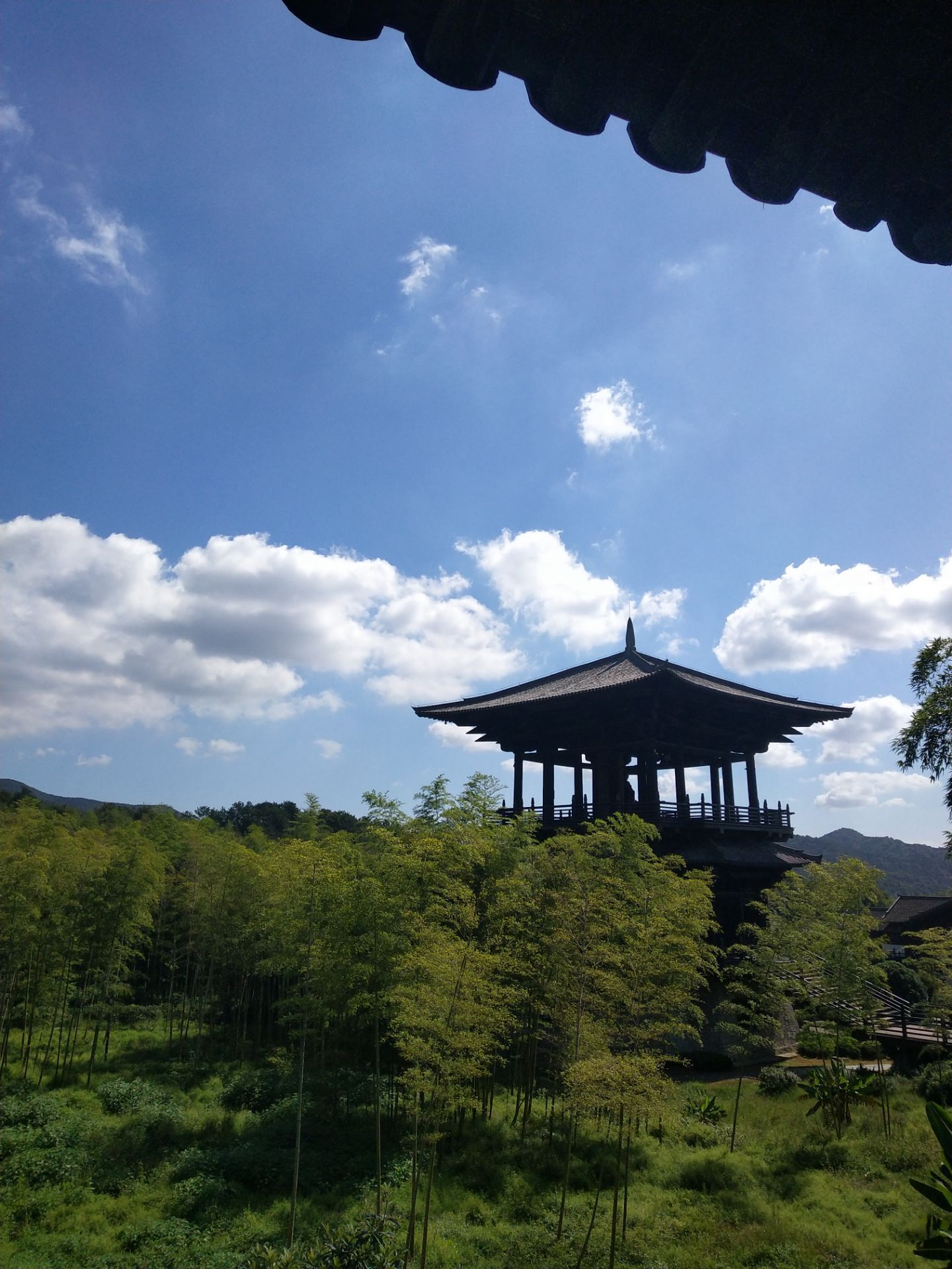 长兴旅游攻略(长兴旅游攻略一日游)