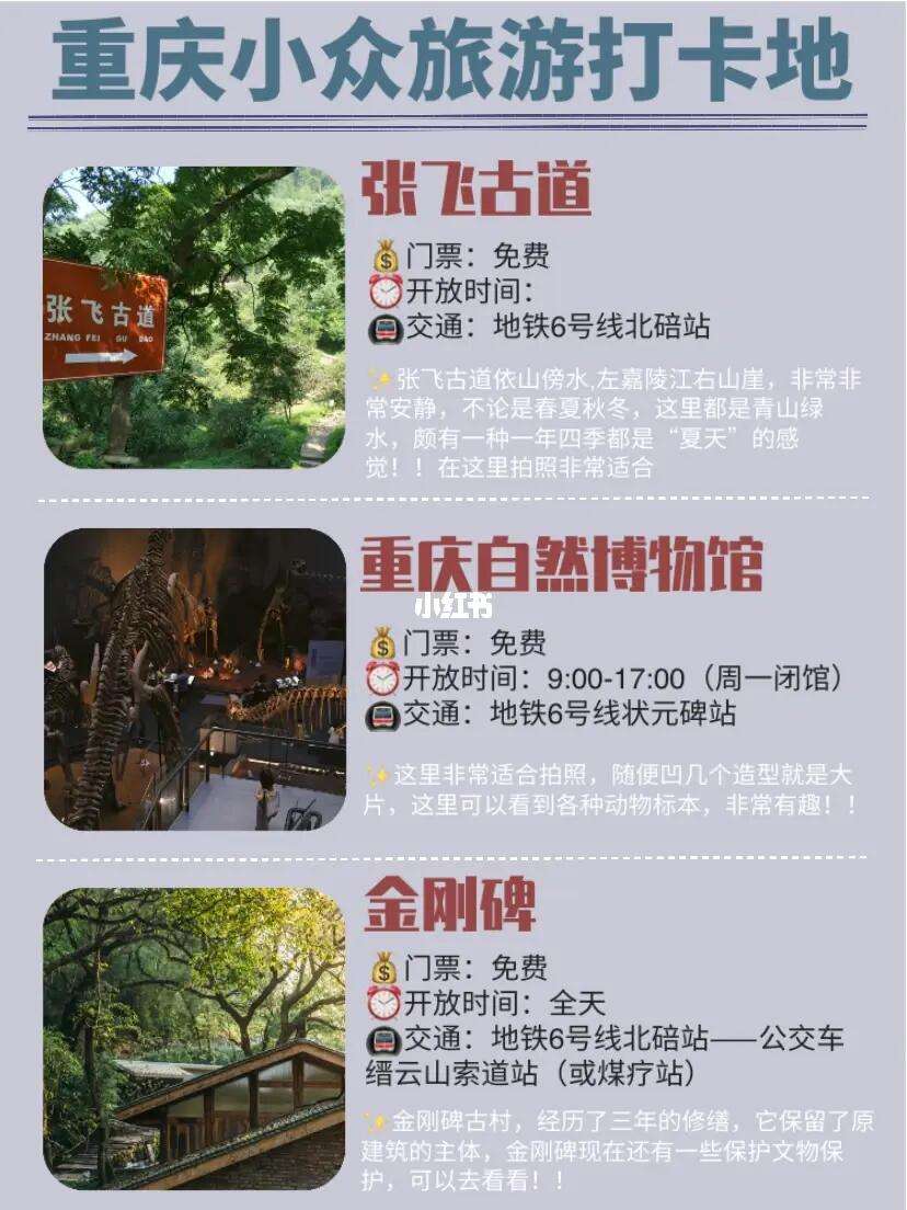 重庆旅游攻略详细安排(重庆旅游攻略详细安排图片)