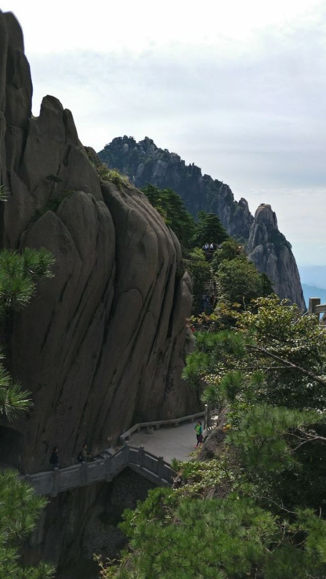 黄山旅游攻略必去景点(黄山旅游攻略必去景点自由行)