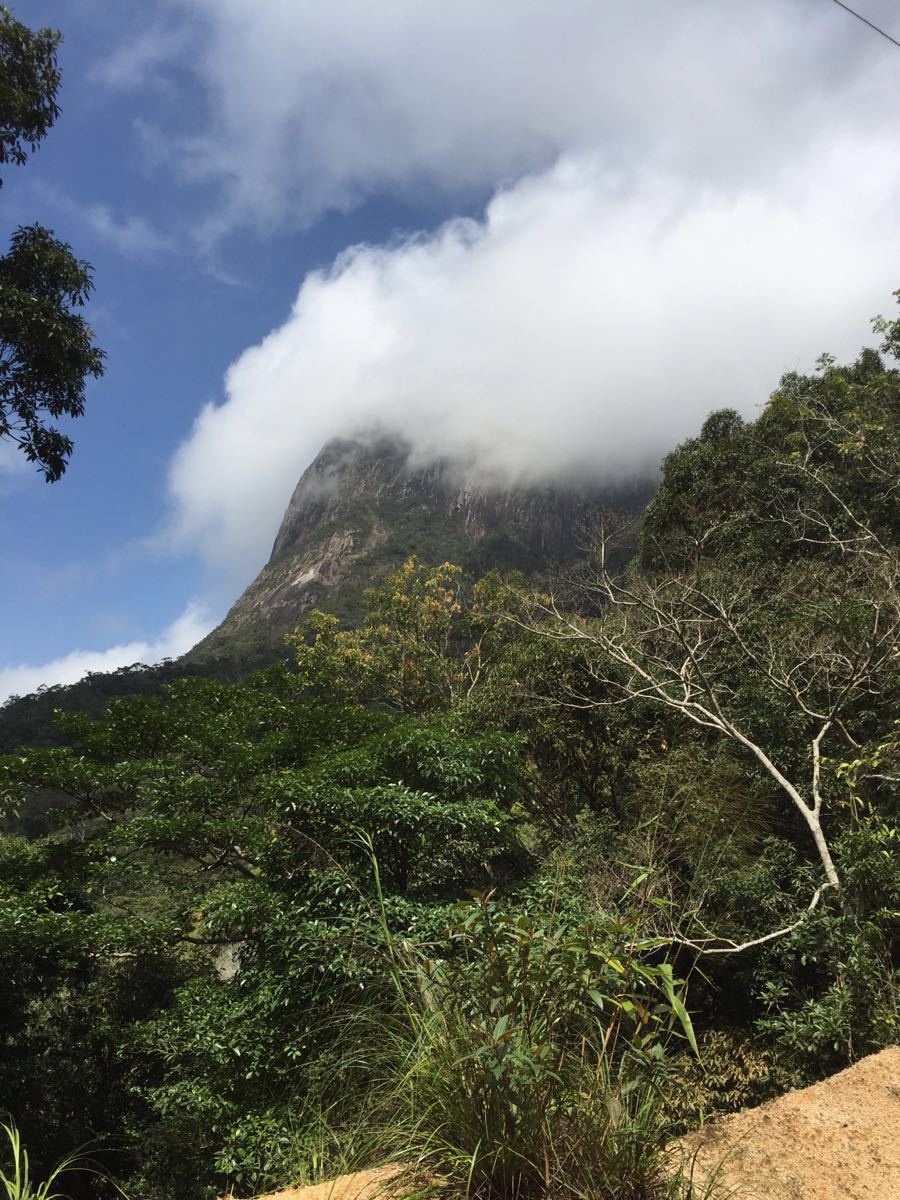 尖峰岭旅游攻略(尖峰岭旅游攻略线路)