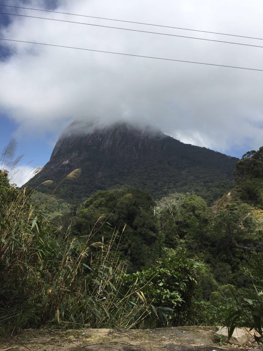 尖峰岭旅游攻略(尖峰岭旅游攻略线路)