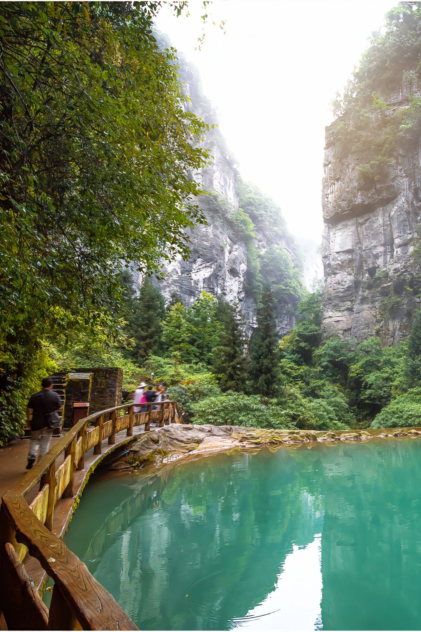 去重庆旅游自由行攻略(去重庆旅游自由行攻略两天)