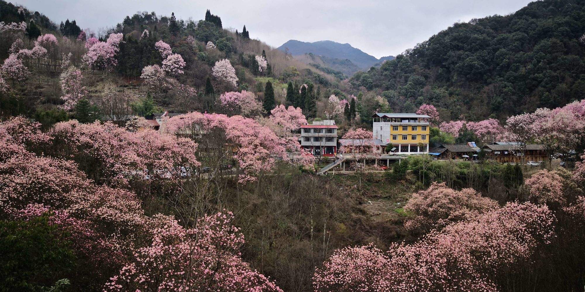 江油吴家后山旅游攻略(江油吴家后山海拔多少米)