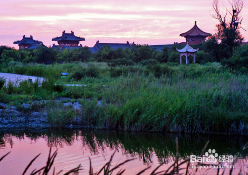 菩提岛旅游攻略(菩提岛旅游攻略路线)