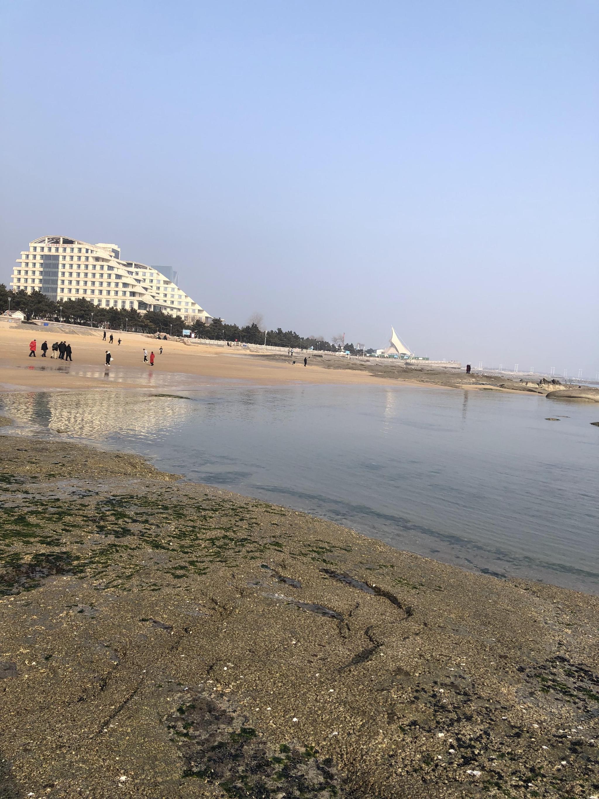 日照自驾旅游攻略(日照自驾旅游攻略5日游路线)