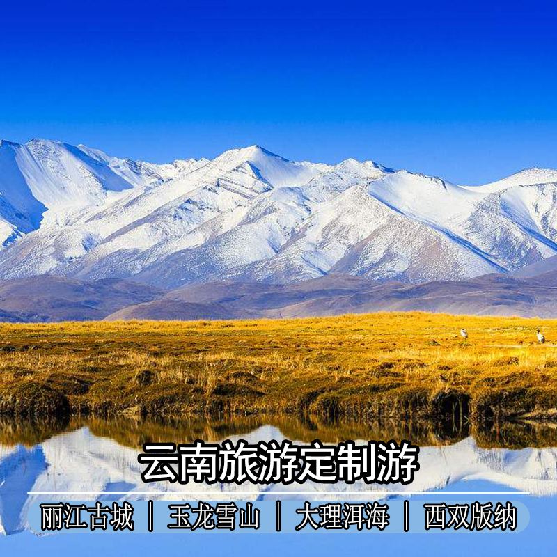 北京到西双版纳旅游团(北京到西双版纳自驾游)