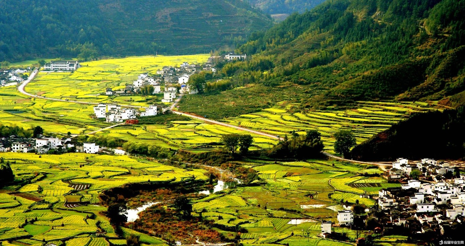 旅游的(旅游的风景)