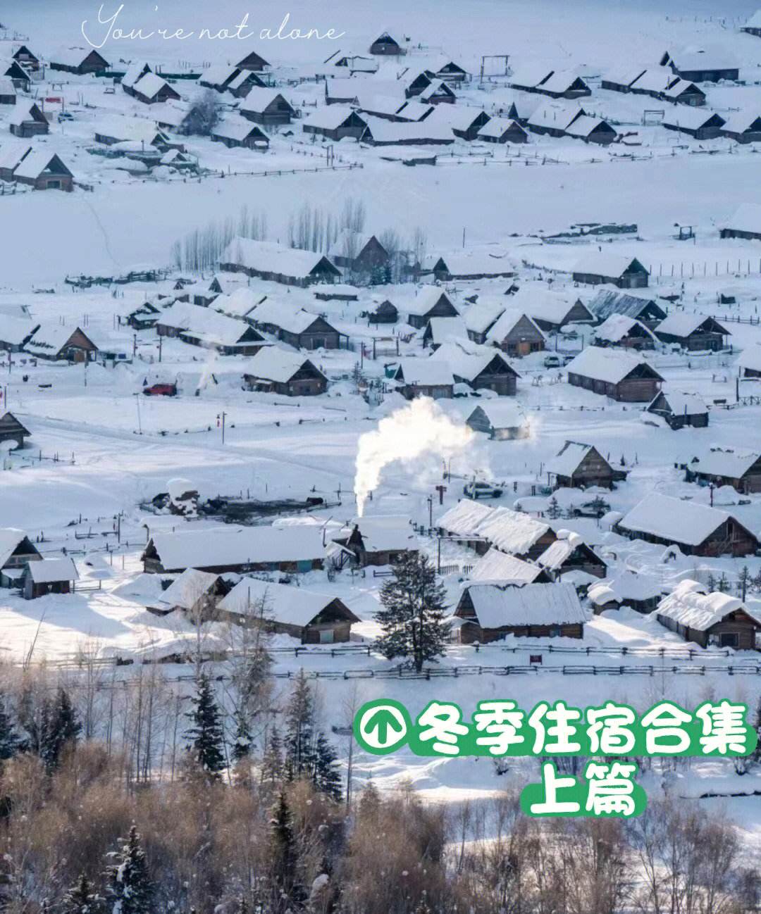 新疆冬天适合旅游吗(新疆冷还是东三省冷)