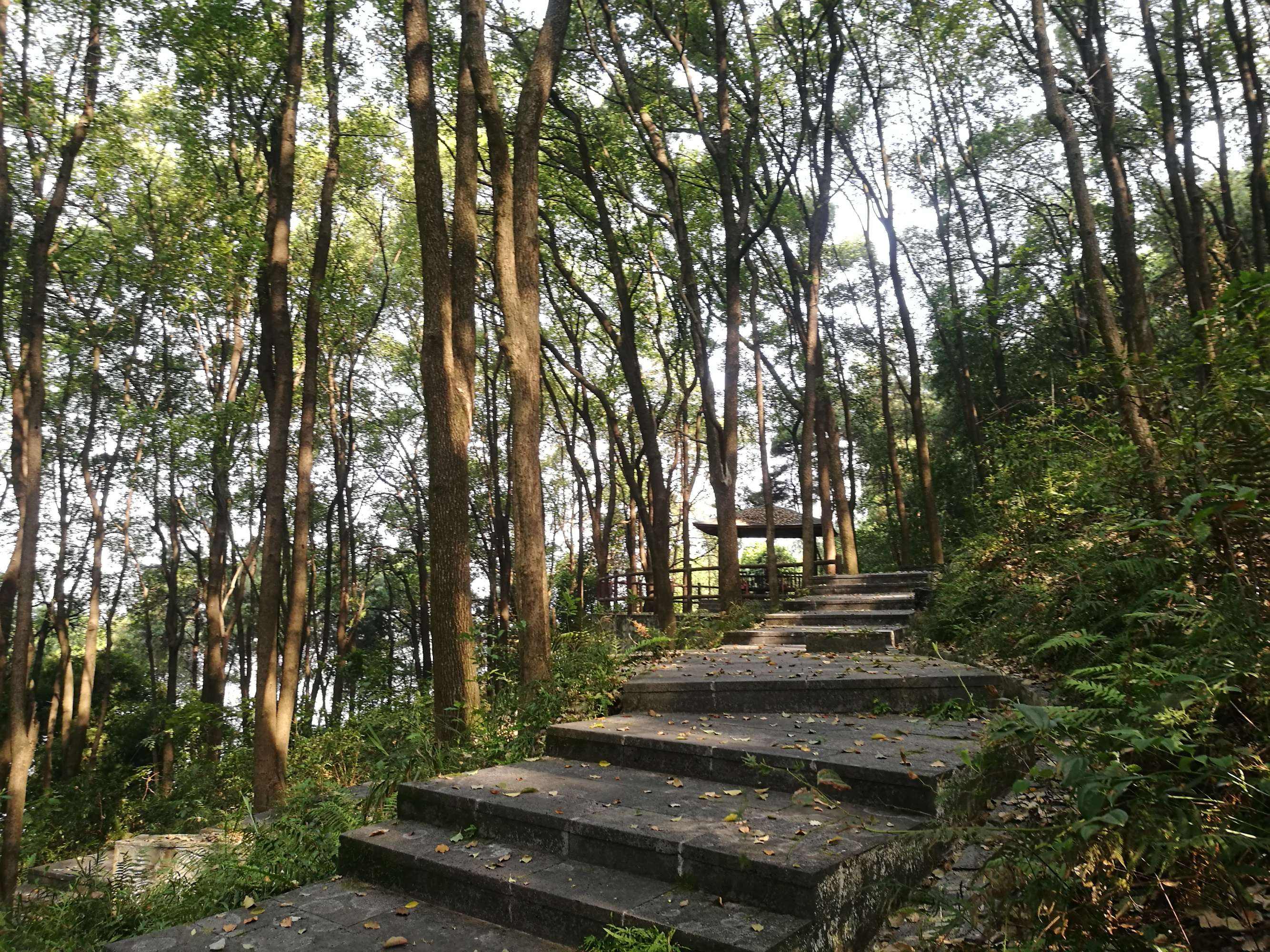 江北旅游景点(江北旅游景点大全)