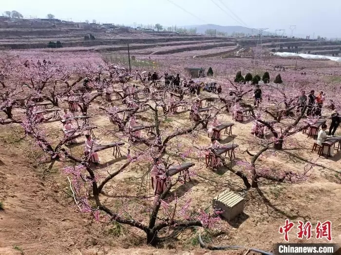 甘肃秦安“世外桃源”激活旅游带富乡村
