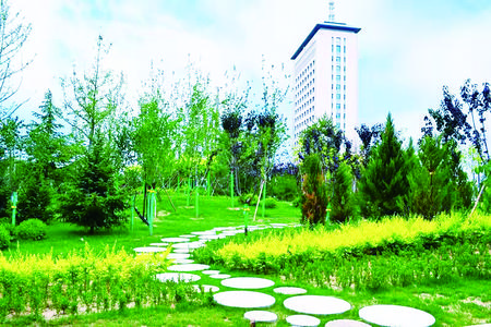 庆阳西峰：绿化增量提质擦亮城市生态底色
